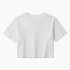 Print Crop Top T-shirt Cotton Short Sleeve T-shirts Crop Top t Shirt Cotton